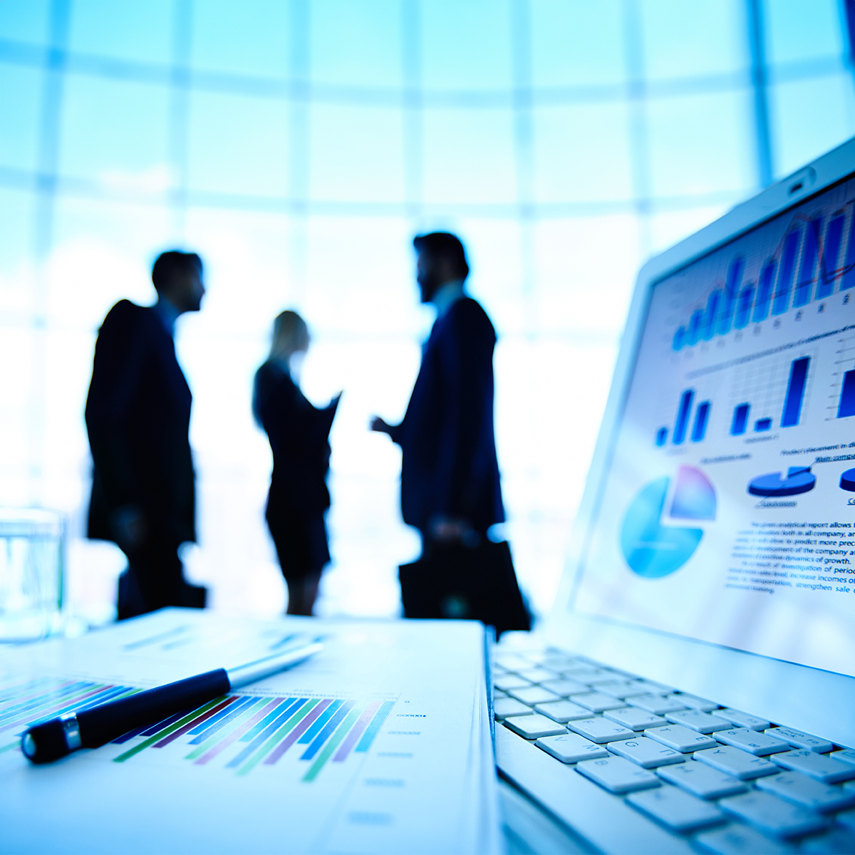 ORGANİZASYON ŞEMASI